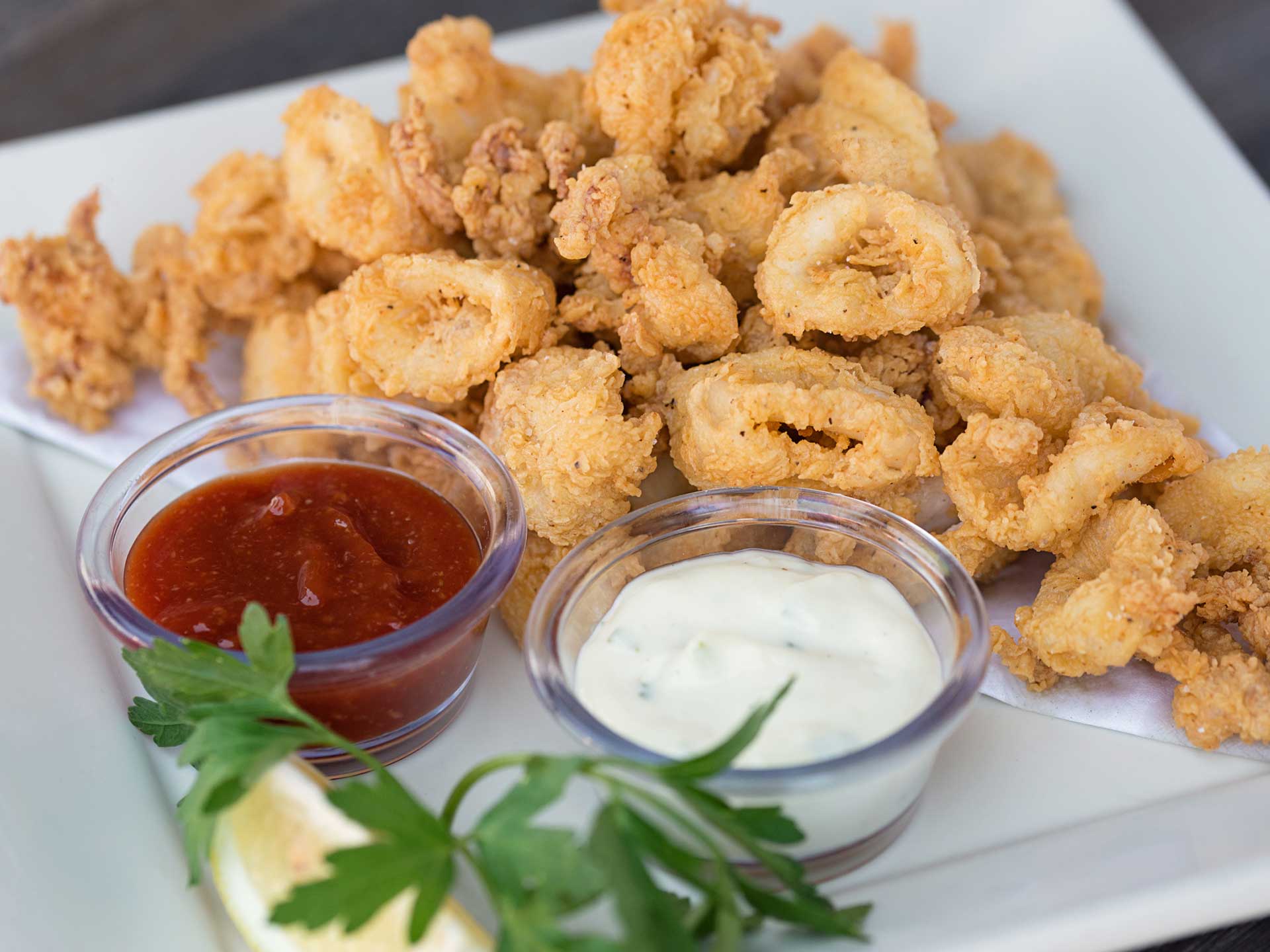 Fried Calamari