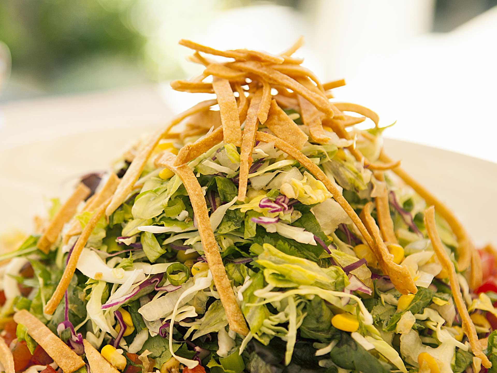 Mexican Tortilla Salad